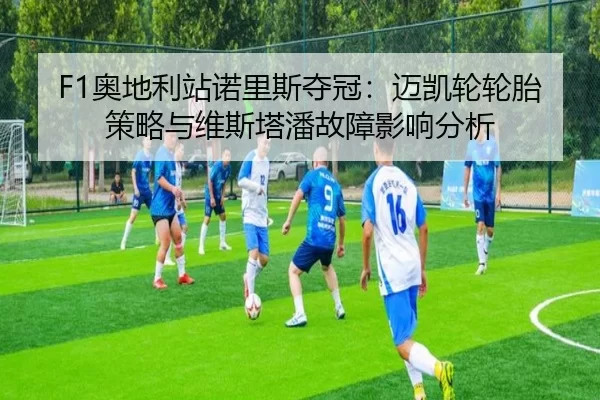 ao-di-li-zhan-nuo-li-si-duo-guan-mai-kai-lun-lun-tai-ce-lve-yu-wei-si-ta-pan-gu-zhang-ying-xiang-fen-xi-2-608.jpg